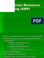 Enterprise Resource Planning (ERP)