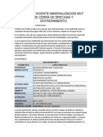 Mina San Vicente Mineralizacion MVT de Cebra de Brechas y Entrepamient1.PDF (r1)