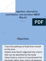 Explain Ingestion, Absorption, Assimilation, and Excretion S8LT