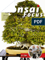 Bonsai Focus 157