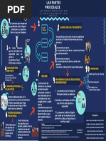 Infografia 1 Partes Procesales