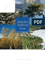 Arboles Nativos OK