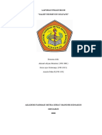 Laporan Praktikum Salep Neomycin Sulfat