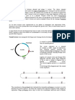 Cosmid Fosmid and Shuttle Vectors