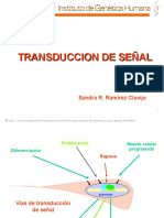 Transduccion