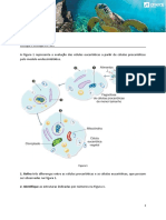 Ae Sec BG Modelo Endossimbiotico