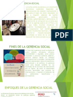 Gerencia Social Fines, Objetivos