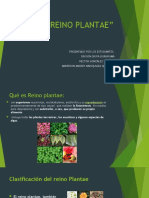 Reino Plantae