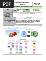 Actividades Nivelacion Biologia Segundo