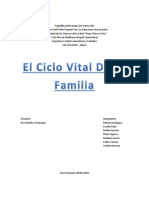 SCF Ciclo Vital Familiar