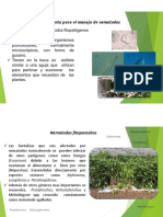 Practica #01 Explicación Del Trabajo Encargado y Herramientas para El Control de Nematodos