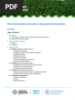 UN - Decade On Ecosystem Restoration - Strategy