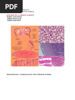 Guía Práctica de Histología Parte 2