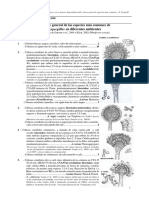 Morfotaxonomia Aspegillus-Clave General de Especies