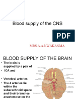 Blood Supply of The CNS: Mrs A.A.Nwakanma