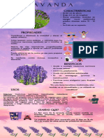 Infografía Lavanda