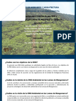 ONG Y Formacion de Hill Conservation