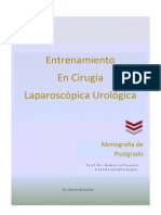 Entrenamiento en Cirugia Laparoscopica DR Martin Bertacchi