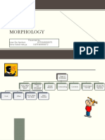 Type of Morphology