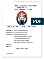 Necropulpectomia Grupo 2....