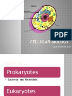 Cellular Biology: Cicel M Reyna M.D