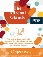 Adrenal Glands