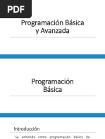 Programacion Basica-Avanzada