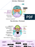 Mapa Mental Agujeros Del Craneo