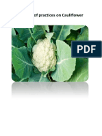 Package of Practices On Cauliflower