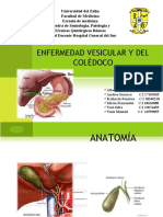 Enfermedad Vesicular y Del Coledoco