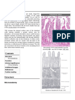 Intestinal Villus: Intestinal Villi (Singular: Villus) Are Small, Finger-Like