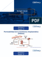 Biología Celular-Permeabilidad de Membrana Diálisis-5-16