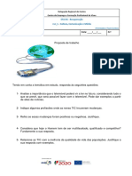 2ficha - Evolução e Impacto Social Das TIC