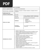 Perfil de Técnico de Seguridad