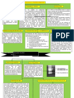 Mapa Conceptual Pruebas Geneticas y Ac. Nucleicos