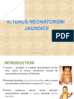 Icterus Neonatorum/ Jaundice: 07/12/2021 Rupinder Deol