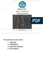 Seedling: Basic Competency 3