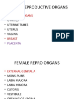 Female Reproductive Organs