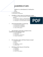 Oral Histology Questions Part 1