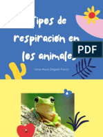 Tipo de Respiracion en Los Animales