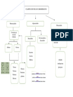 Organizador: CLASIFICACION DE LOS CARBOHIDRATOS