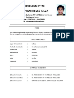 CV Luis Ivan Nieves