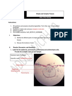 Activity No. 4: Simple and Complex Tissues