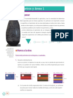 Sec - 10 Areas y Perimetros Alumnos