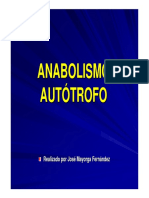 Anabolismo Autotrofo