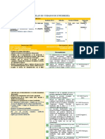 Plan de Cuidados Enfermeria