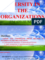 Diversity in The Organizations