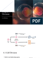 6.1 Cell Division 6.2 Cell Cycle and Mitosis