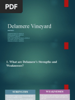 Viden Io Delamere Vineyard Strategy Group 02 Delamere Vineyard