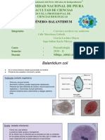 SEMINARIO 5 - Balatidium